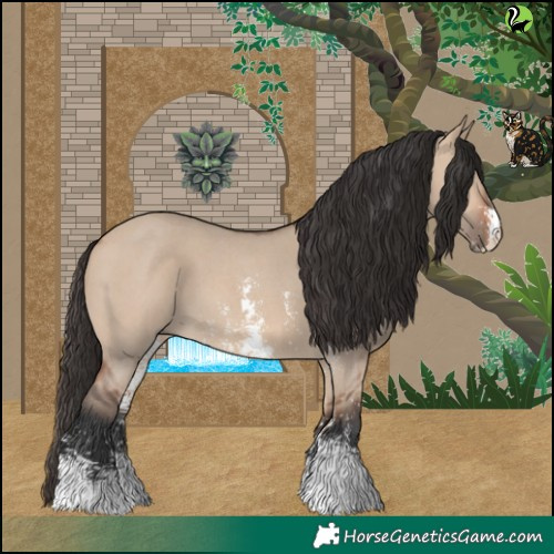 Horse Color:Bay Dun Sabino 