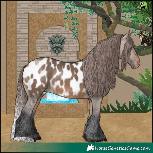 Horse Color:Bay Dun Appaloosa Rabicano 