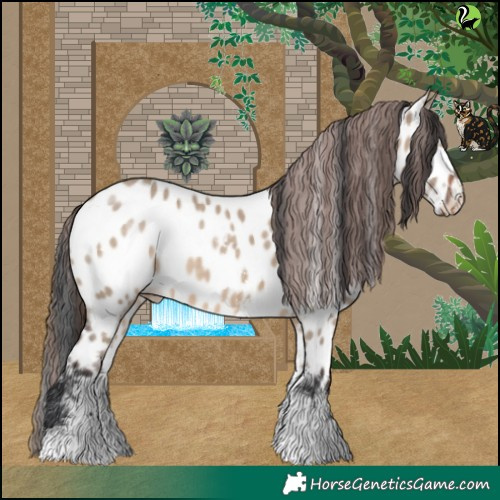 Horse Color:Brown Dun Sabino Near Leopard Rabicano 