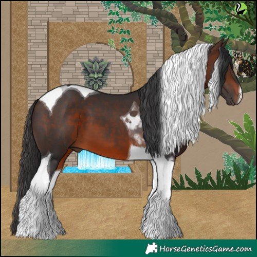 Horse Color:Brown Tobiano 