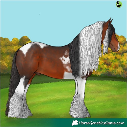 Horse Color:Brown Tobiano 
