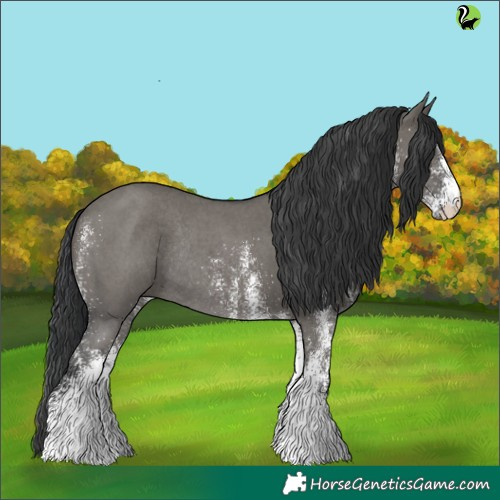 Horse Color:White Spotted Grullo Rabicano 