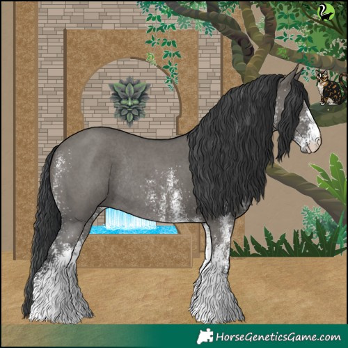 Horse Color:White Spotted Grullo Rabicano 