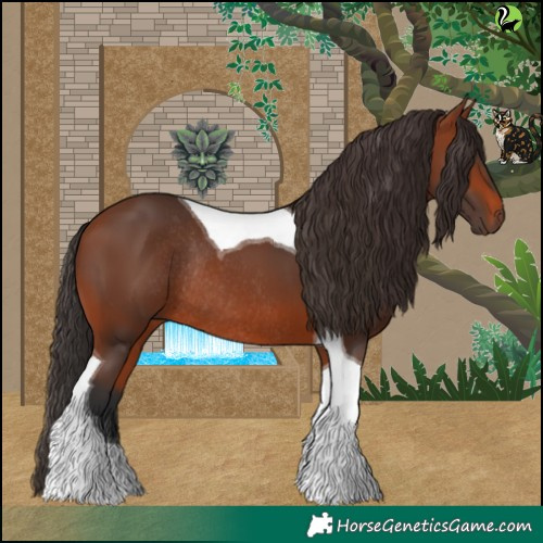 Horse Color:Bay Tobiano Rabicano 