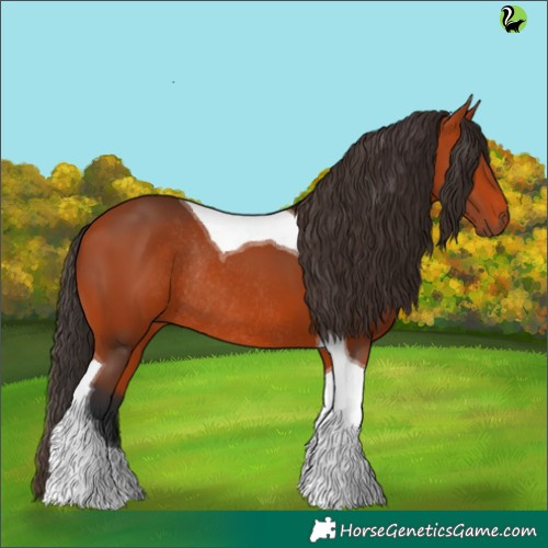 Horse Color:Bay Tobiano Rabicano 