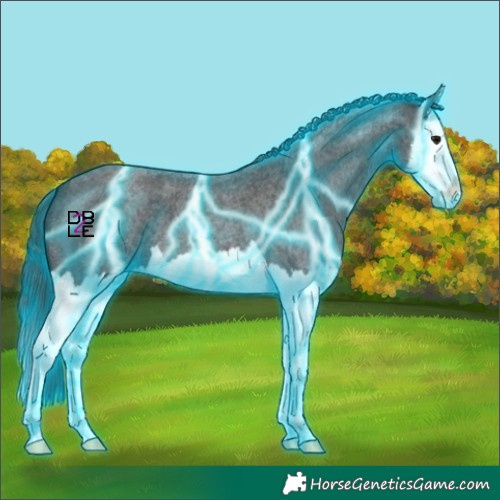 Horse Color:Thunderstruck Blue Roan Splash