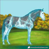 Horse Color:Thunderstruck Blue Roan Splash 