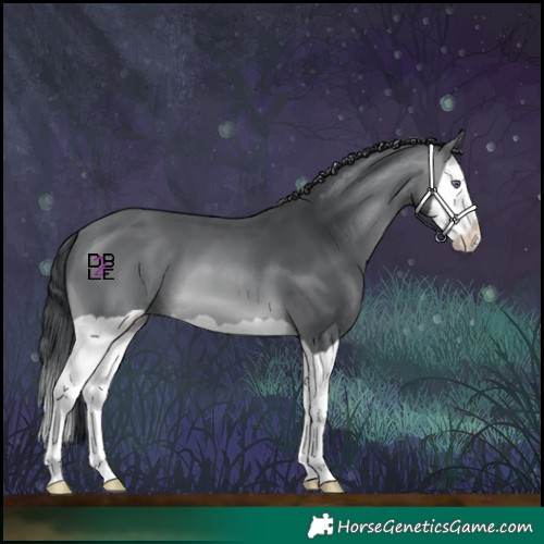 Horse Color:Brown Chinchilla Splash