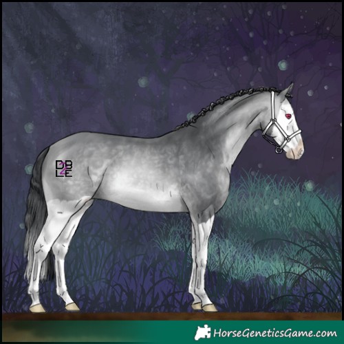 Horse Color:Brown Chinchilla Splash 