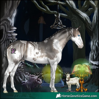 Horse Color:Blue Onyx Splash 