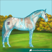 Horse Color:Thunderstruck Classic Champagne Onyx Appaloosa 