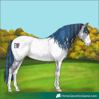 Horse Color:Platinum Painted Buckskin Dun Sabino Near Fewspot 