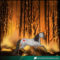 Horse Color:Liver Red Roan 