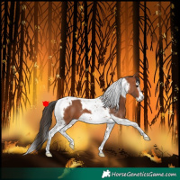 Horse Color:Bay Splash Tobiano Frame 