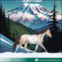Horse Color:Amber Champagne Roan Tobiano