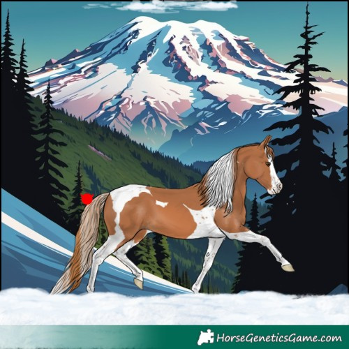 Horse Color:Chestnut Splash Tobiano 