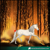 Horse Color:Gold Cream Champagne Roan 