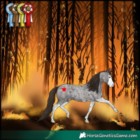 Horse Color:Liver Red Roan Splash