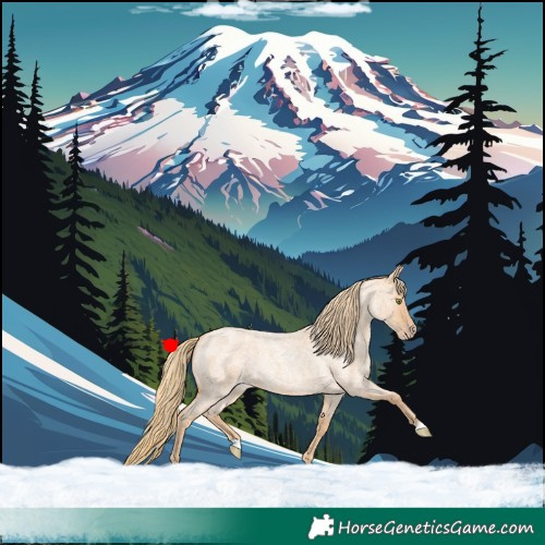 Horse Color:Gold Champagne Roan 