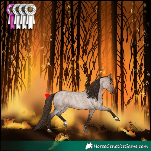Horse Color:Liver Red Dun Roan 