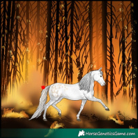 Horse Color:Palomino Roan Dun Tobiano Blanket 