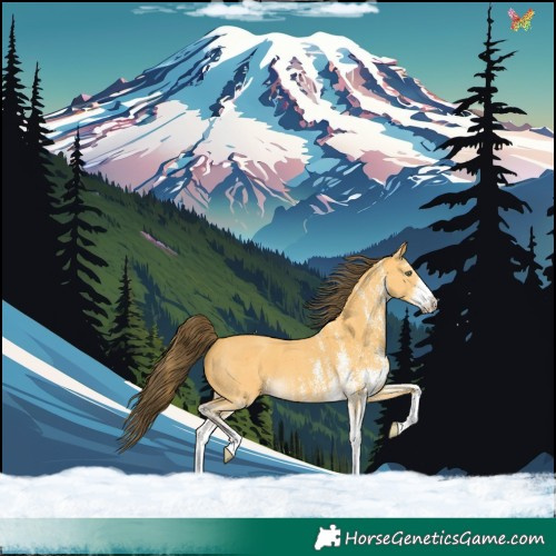Horse Color:White Spotted Amber Cream Champagne 