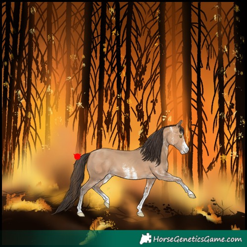 Horse Color:White Spotted Amber Champagne 