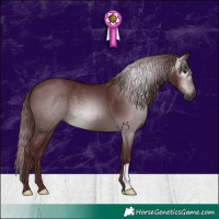 Horse Color:Gray Chocolate Black