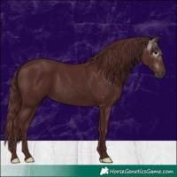 Horse Color:Gray Chocolate Black