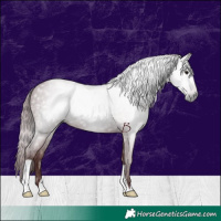 Horse Color:Gray Chocolate Black