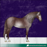 Horse Color:Gray Chocolate Black