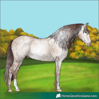 Horse Color:Gray Chocolate Classic Champagne Ice Dun 