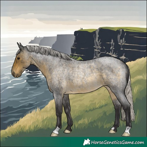 Horse Color:Silver Buckskin Roan Rabicano 