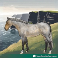 Horse Color:Silver Buckskin Roan Rabicano 