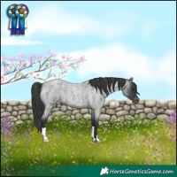 Horse Color:Blue Roan Varnish 