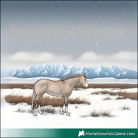 Horse Color:Silver Brown Dun Rabicano 