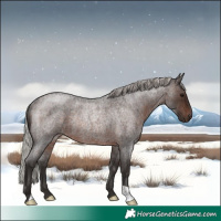 Horse Color:Silver Brown Roan Rabicano 