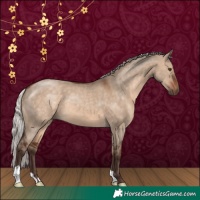 Horse Color:Silver Brown Dun 