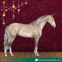 Horse Color:Silver Brown Dun