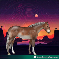 Horse Color:Silver Brown