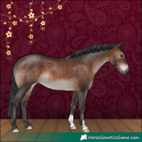 Horse Color:Brown 