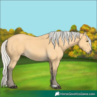 Horse Color:Silver Buckskin 