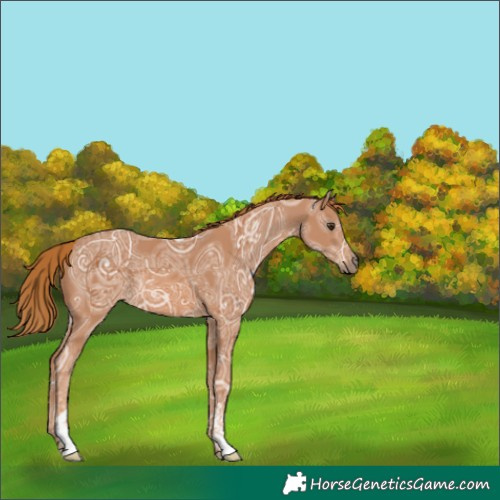 Horse Color:Chestnut Ice 