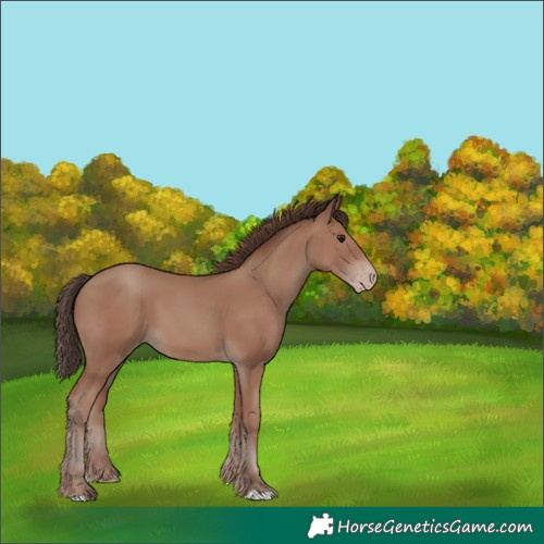 Horse Color:Classic Champagne 