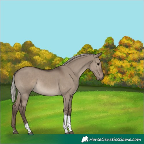 Horse Color:Silver Grullo Tobiano 