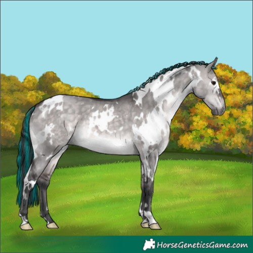 Horse Color:Platinum Painted White Spotted Brown Dun 