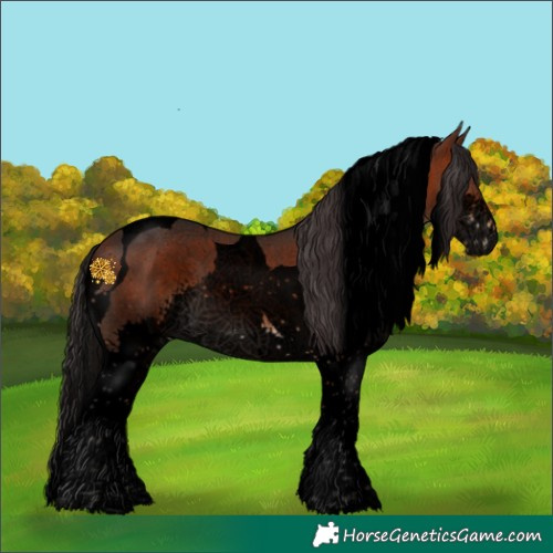 Horse Color:Void Brown Splash Tobiano 