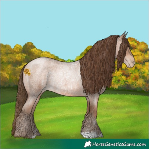 Horse Color:Brown Roan Pearl 