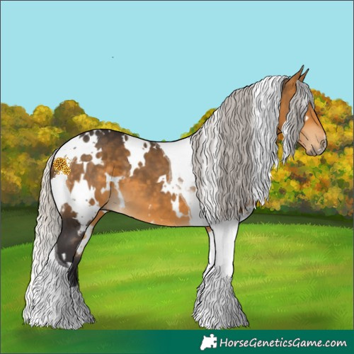 Horse Color:White Spotted Silver Buckskin Tobiano 