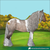 Horse Color:Silver Brown Roan Dun Tobiano
